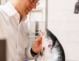 Im neuen Ambassador-Programm für Label Rouge Scottish Salmon treffen deutsche Spitzenköche aufschottische
