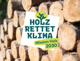 Hanse Haus unterstützt die Initiative „Holz rettet Klima“