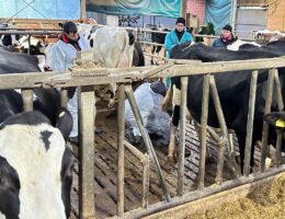 Fütterungskontrolle im Milchviehstall: AVA-Seminar gemeinsam für Tierärzte + Landwirte