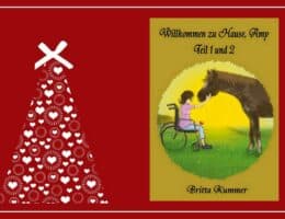 Geschenktipp vom Weihnachtsmann: Willkommen zu Hause, Amy Teil 1 und 2
