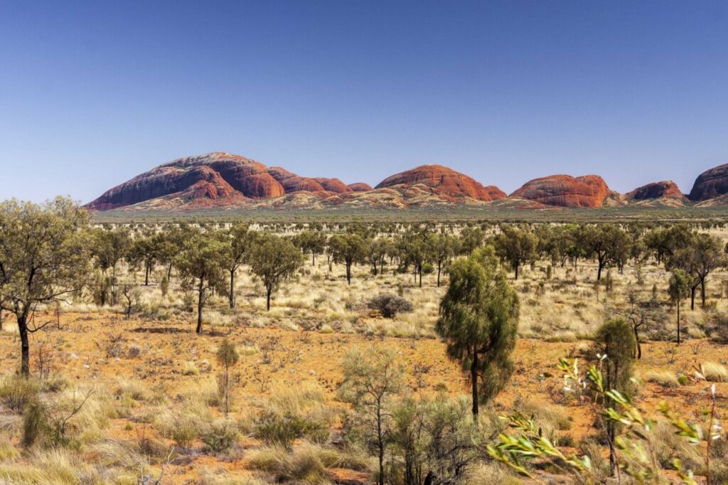 Landschaft in Zentralaustralien; Quelle: Depositphotos