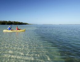 Bei Kajaktouren lässt sich die maritime Fauna und Flora der Florida Keys erleben. (Bildquelle: Rob O&apos;Neal