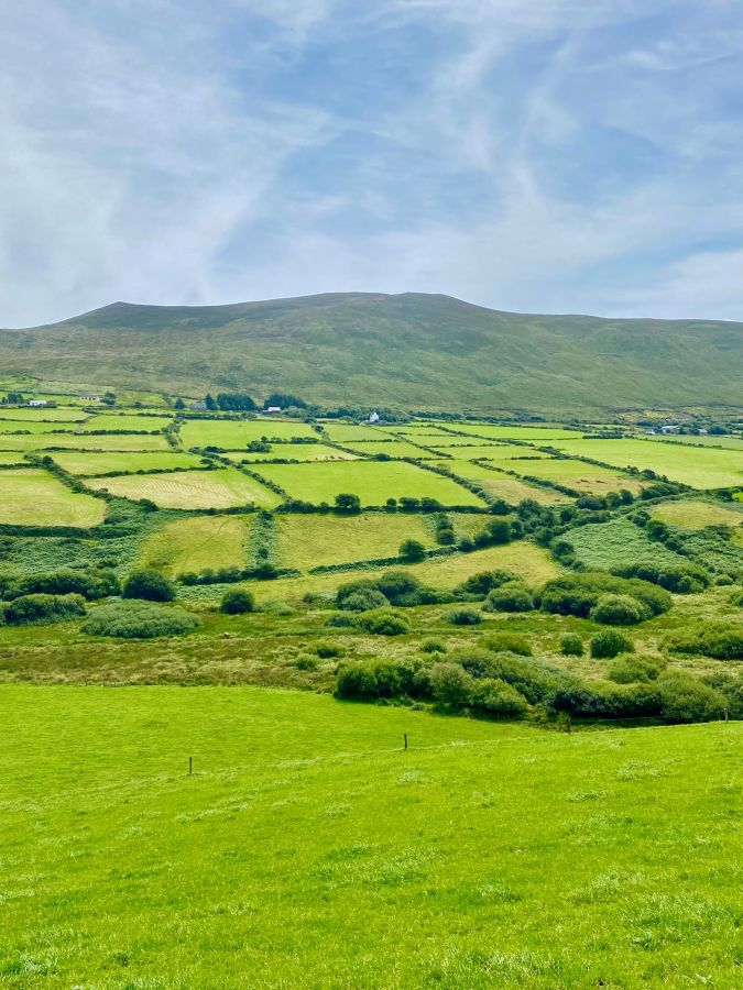 Irland lockt mit fröhlichen Menschen und grüner Natur Austauschschüler aus aller Welt an. (© international EXPERIENCE e. V.)