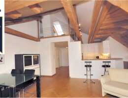 Möblierte Wohnung von PABS in Zürich mit erweiterter Qualitätskontrolle 4.1