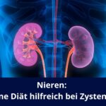 Nieren: Ketogene Diät hilfreich bei Zystennieren / Redaktion bioresonanz-zukunft.de (Die Bildrechte liegen bei dem Verfasser der Mitteilung.)