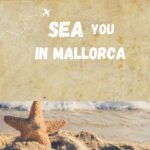 Mallorca Ausflüge und Bootstouren (Die Bildrechte liegen bei dem Verfasser der Mitteilung.)