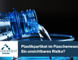 Wasserpapst - Plastikartikel in Wasserflaschen (Die Bildrechte liegen bei dem Verfasser der Mitteilung.)