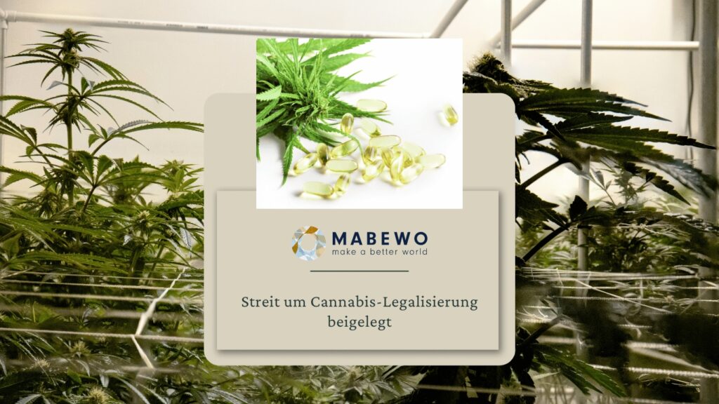 MABEWO - Cannabis Streit (Die Bildrechte liegen bei dem Verfasser der Mitteilung.)