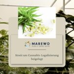 MABEWO - Cannabis Streit (Die Bildrechte liegen bei dem Verfasser der Mitteilung.)