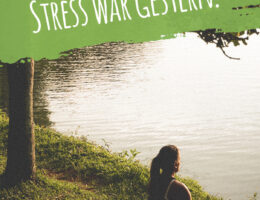 Stress war gestern - neues Buch von Sven-David Müller und Almut Müller (Die Bildrechte liegen bei dem Verfasser der Mitteilung.)