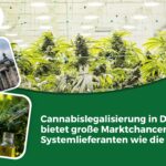 MABEWO - Cannabislegalisierung (Die Bildrechte liegen bei dem Verfasser der Mitteilung.)