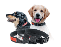 Nachhaltiges Accessoire aus Feuerwehrschlauch für den Hund: Halsband Timmy von Feuerwear