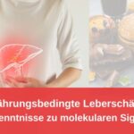 Ernährungsbedingte Leberschäden / Redaktion bioresonanz-zukunft.de (Die Bildrechte liegen bei dem Verfasser der Mitteilung.)