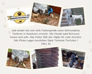 Hundehilfe Deutschland e.V. (Die Bildrechte liegen bei dem Verfasser der Mitteilung.)