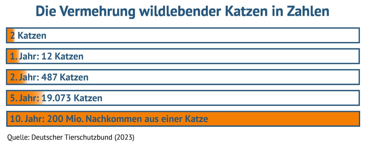 (© Grafik: vs-vergleichen-und-sparen GmbH)