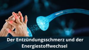 Der Entzündungsschmerz und der Energiestoffwechsel / Redaktion bioresonanz-zukunft.de (Die Bildrechte liegen bei dem Verfasser der Mitteilung.)