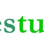 Logo Investui (Die Bildrechte liegen bei dem Verfasser der Mitteilung.)